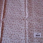 BW 804